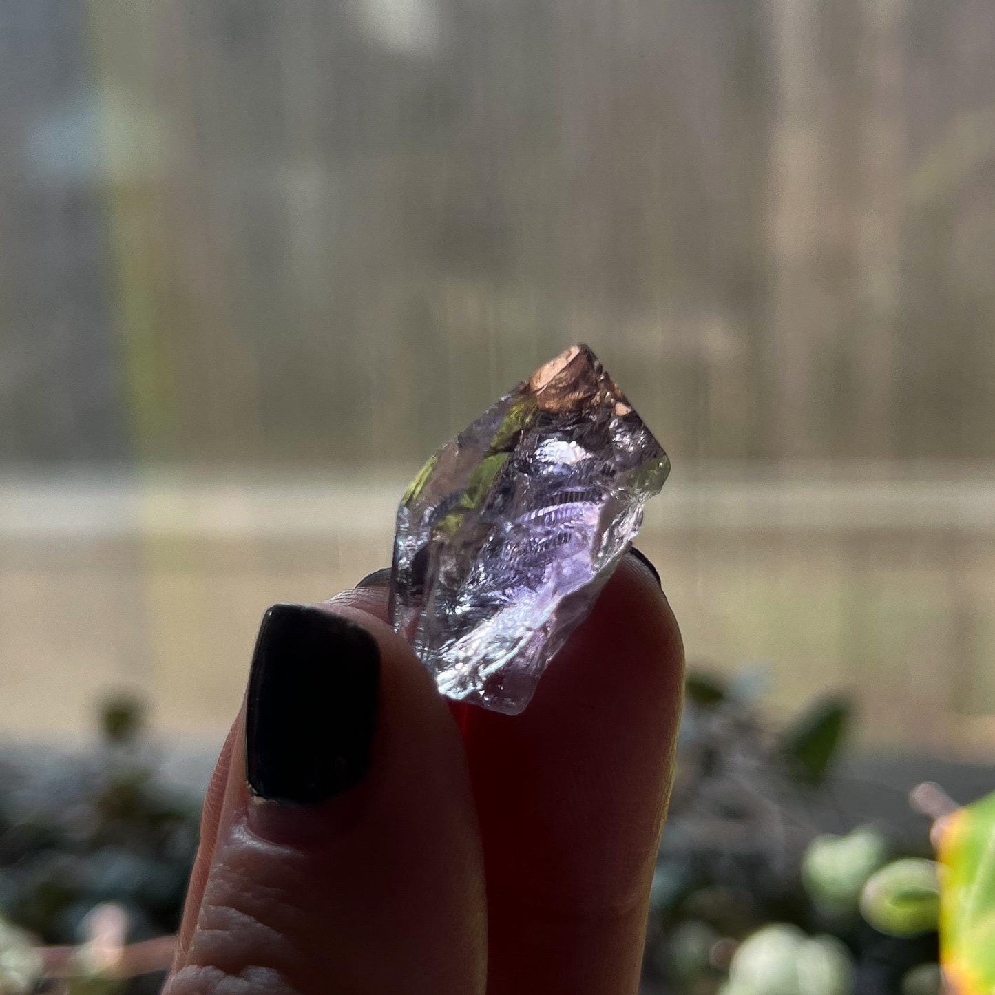 Amethyst Quartz Raw Points Lot