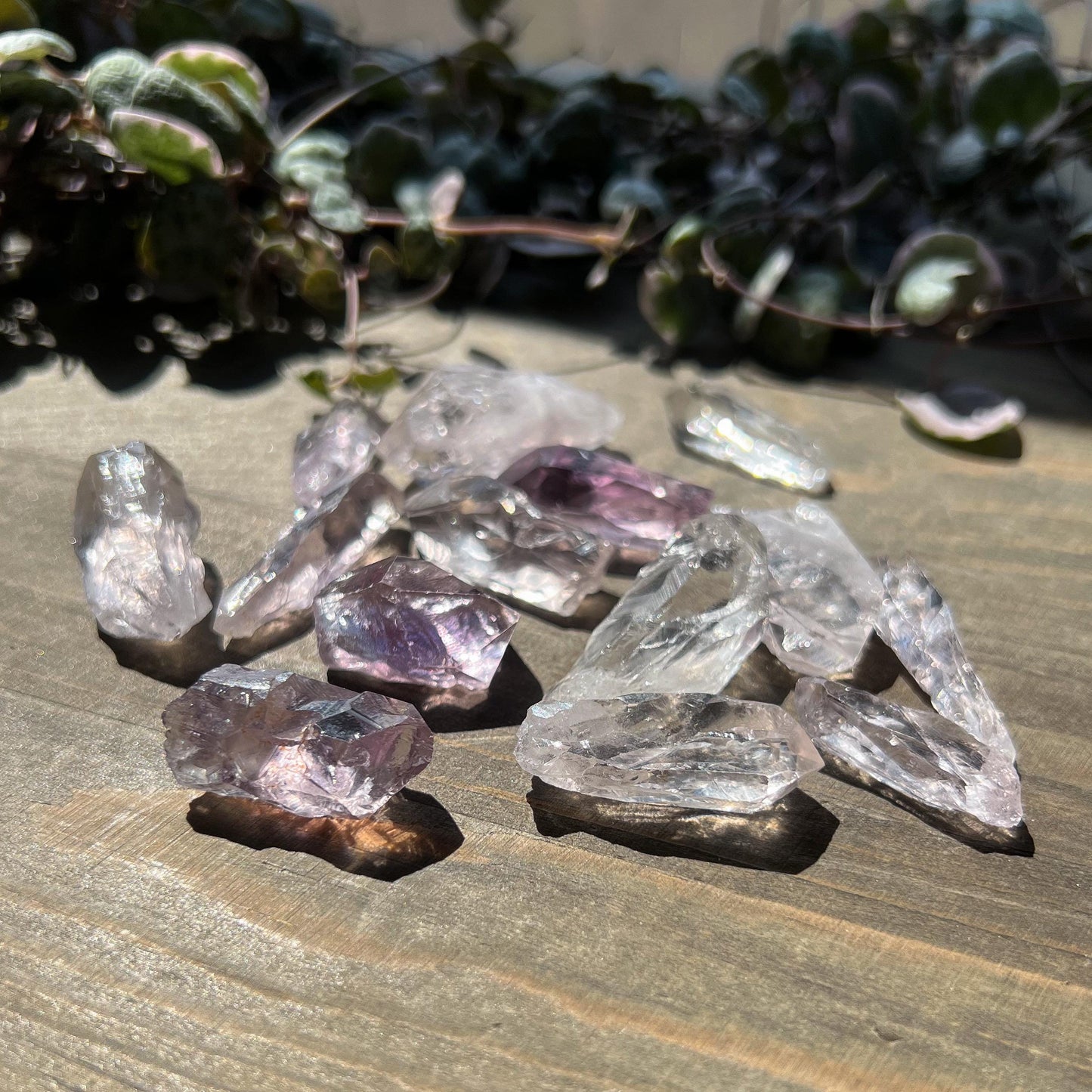 Amethyst Quartz Raw Points Lot