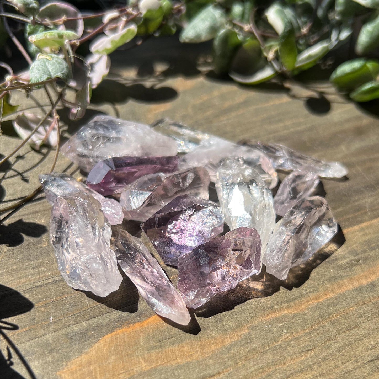 Amethyst Quartz Raw Points Lot