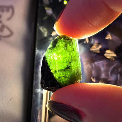 Green Tourmaline Lot