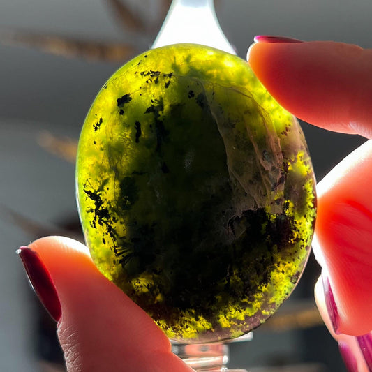 Translucent Serpentine Palm Stone