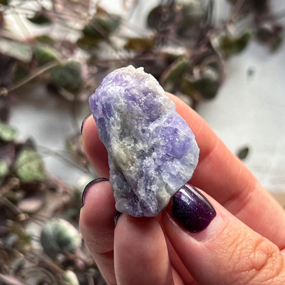 Purple Blue Hackmanite