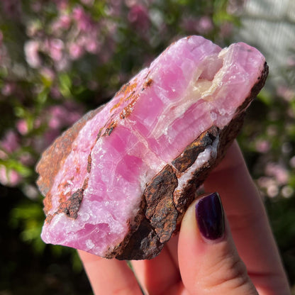 Raw Pink Aragonite