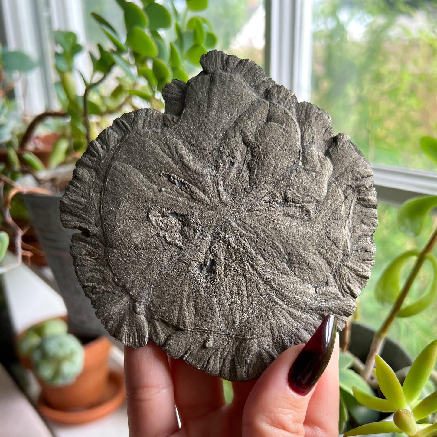 Pyrite Sun