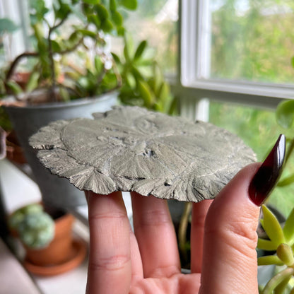 Pyrite Sun