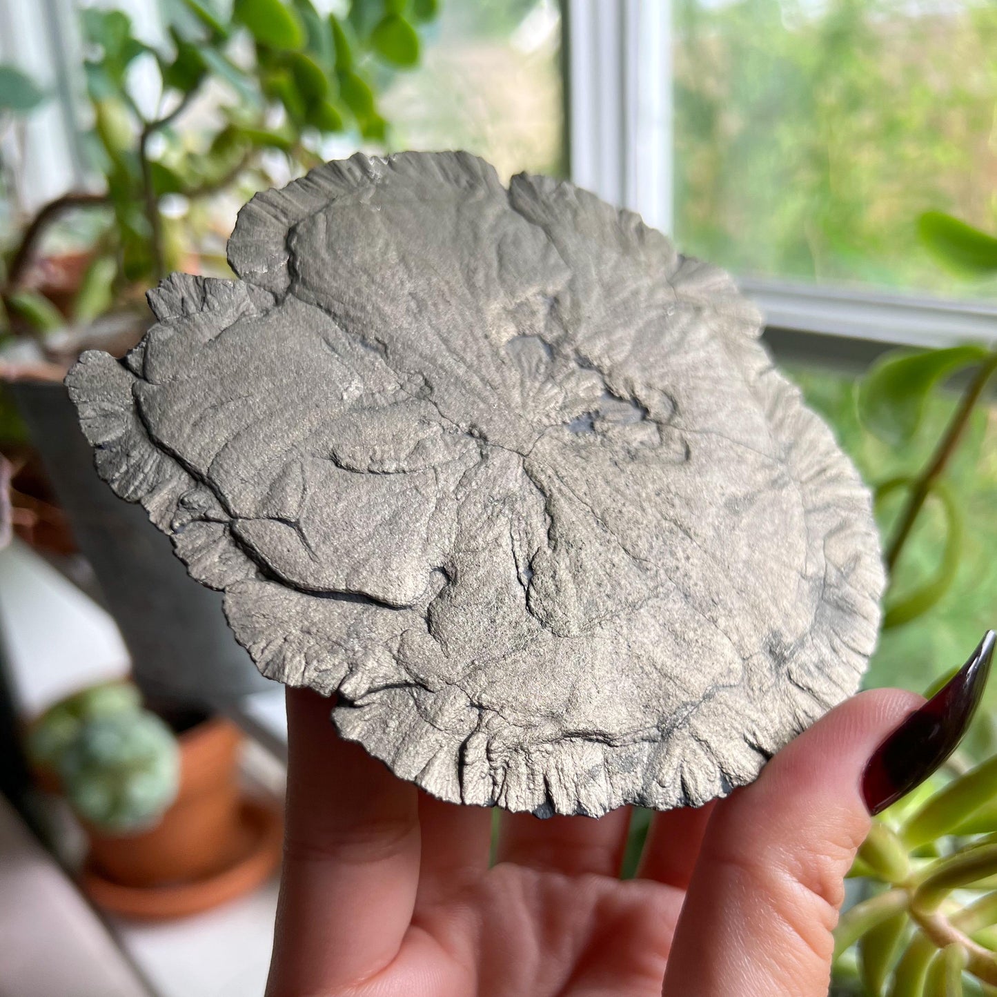 Pyrite Sun