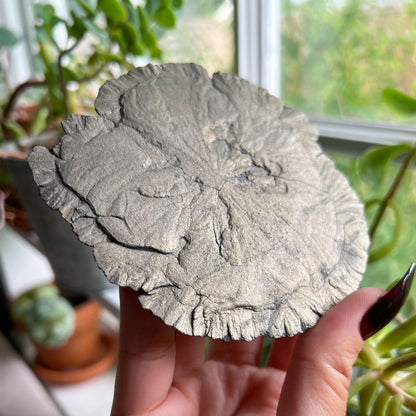 Pyrite Sun