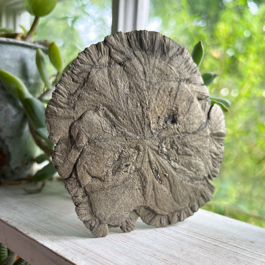 Pyrite Sun