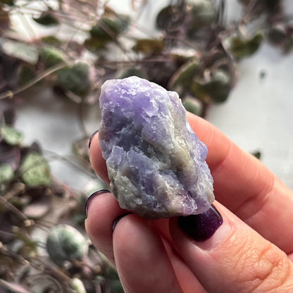 Purple Blue Hackmanite