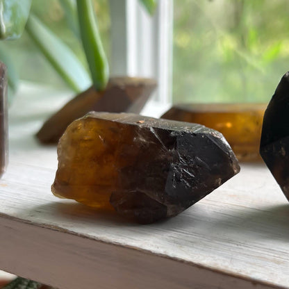 Dark Genuine Citrine Raw Points