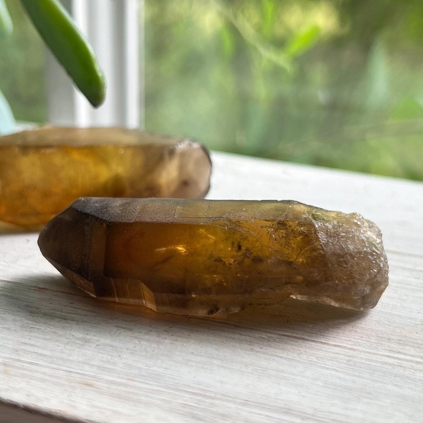 Dark Genuine Citrine Raw Points