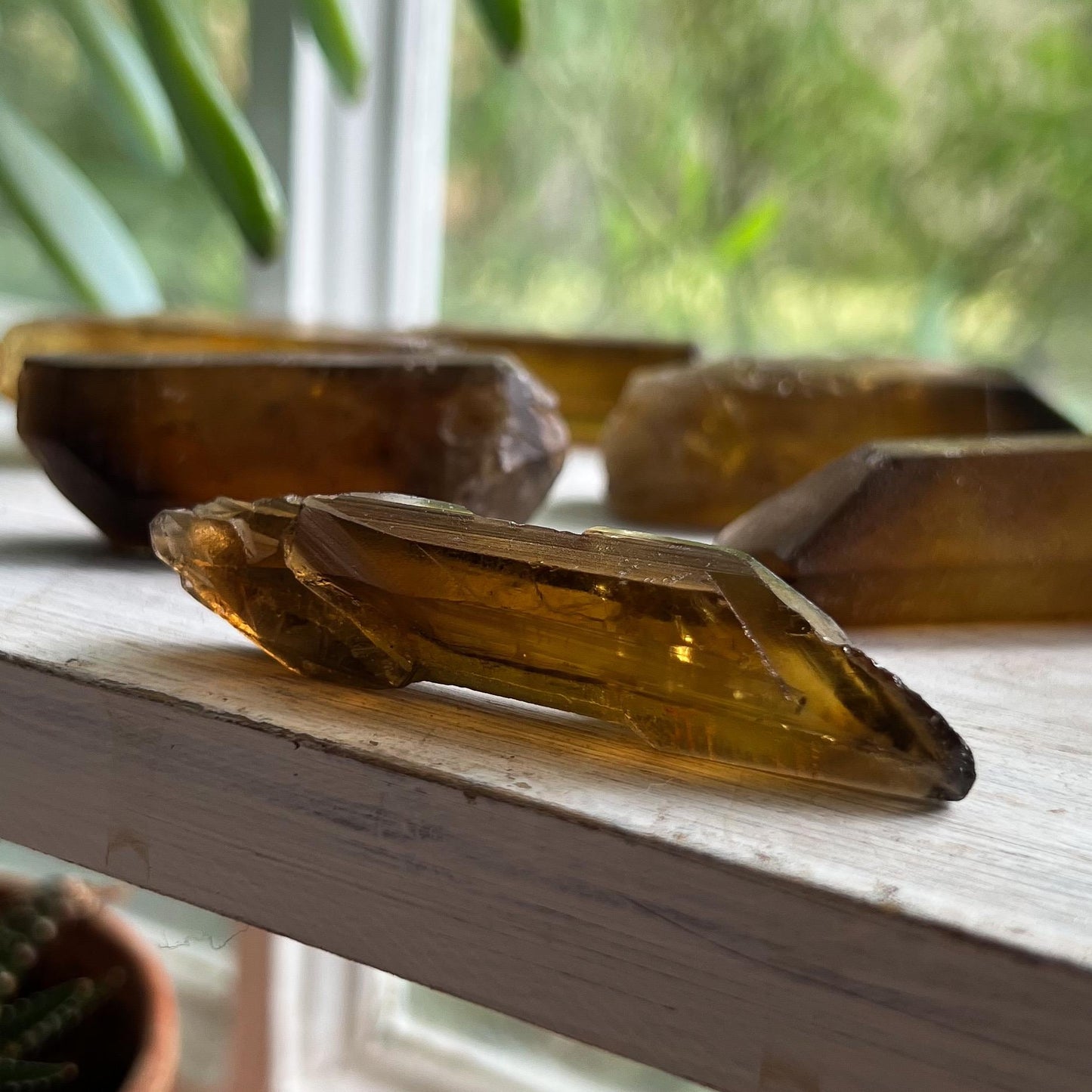 Dark Genuine Citrine Raw Points