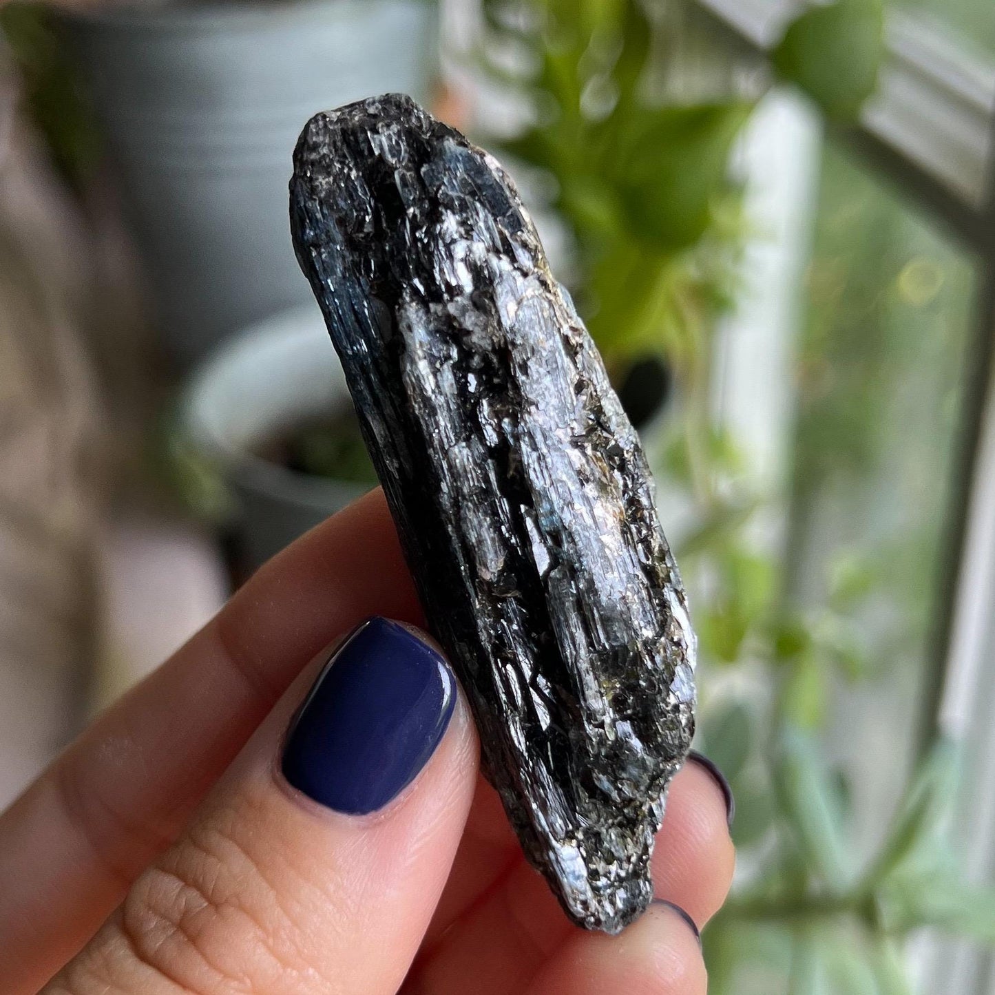 Blue Black Kyanite Blades