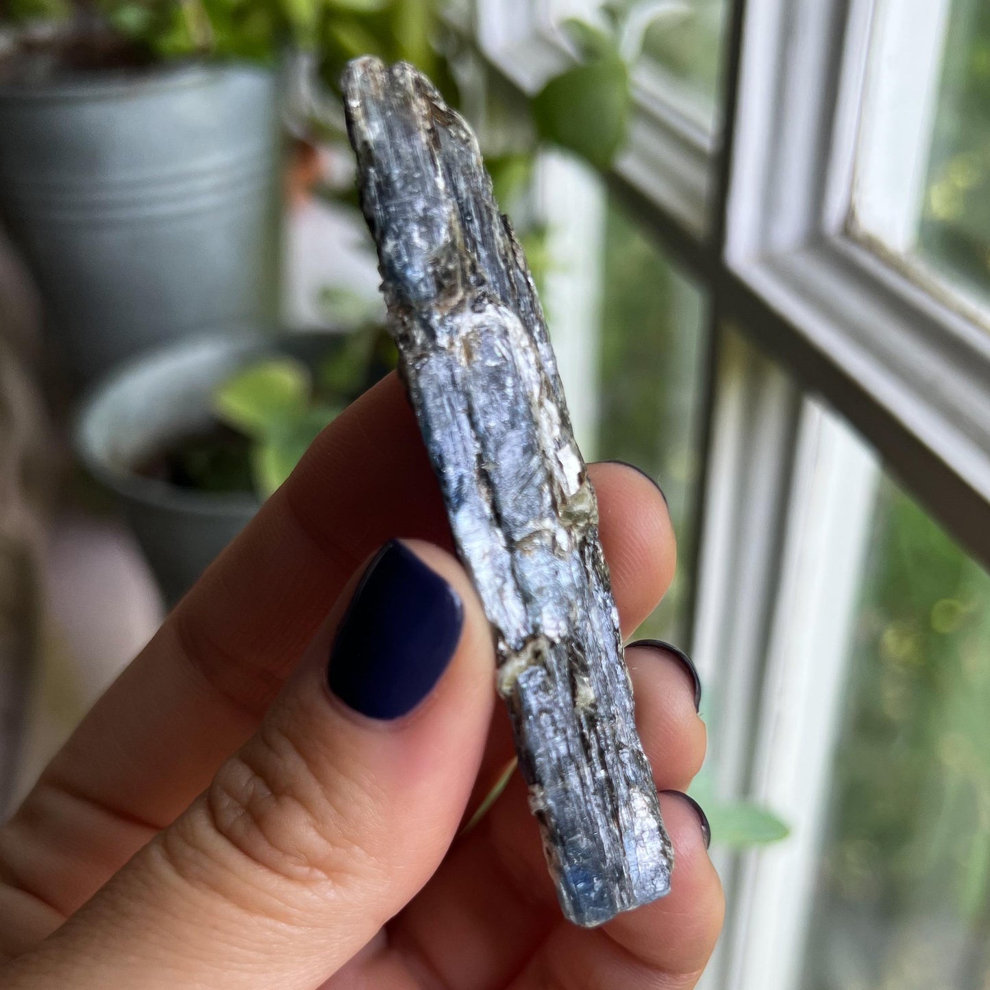 Blue Black Kyanite Blades