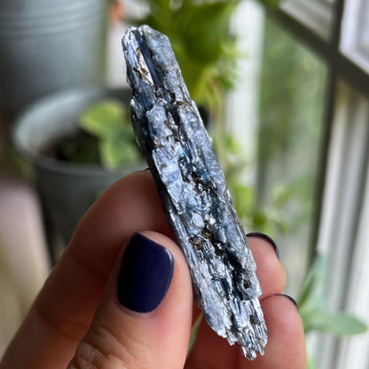 Blue Black Kyanite Blades