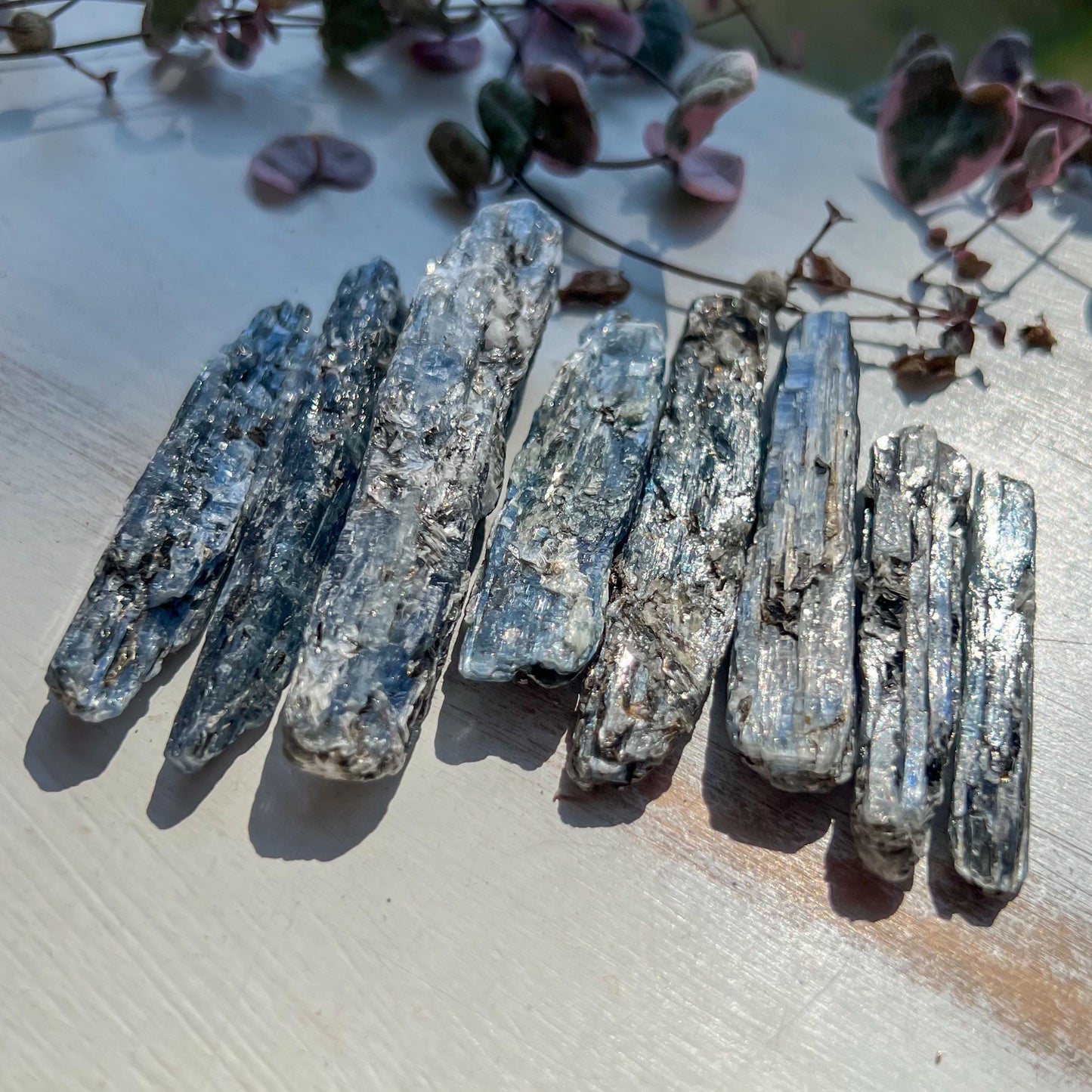 Blue Black Kyanite Blades