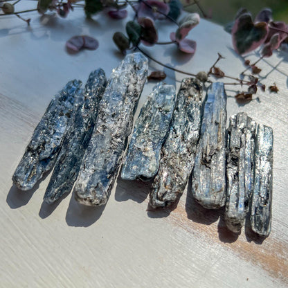 Blue Black Kyanite Blades