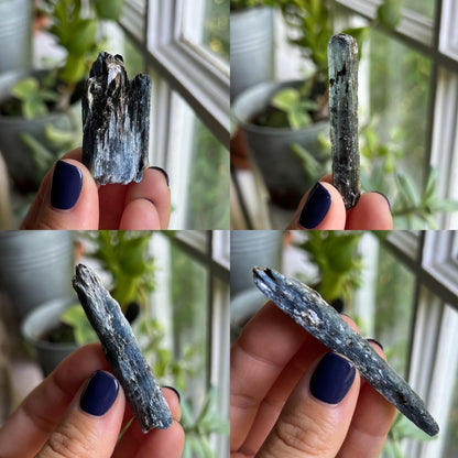Blue Black Kyanite Blades