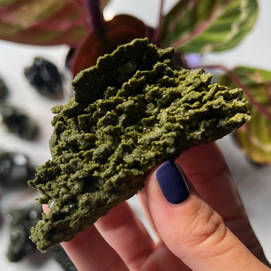 Fairy Forest Epidote Quartz Clusters