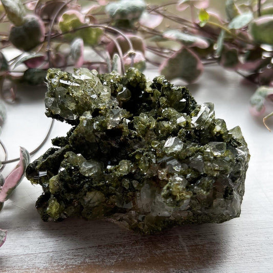 Fairy Forest Epidote Quartz Clusters
