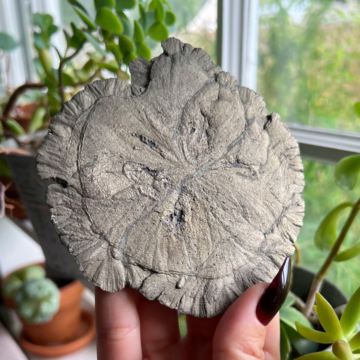 Pyrite Sun