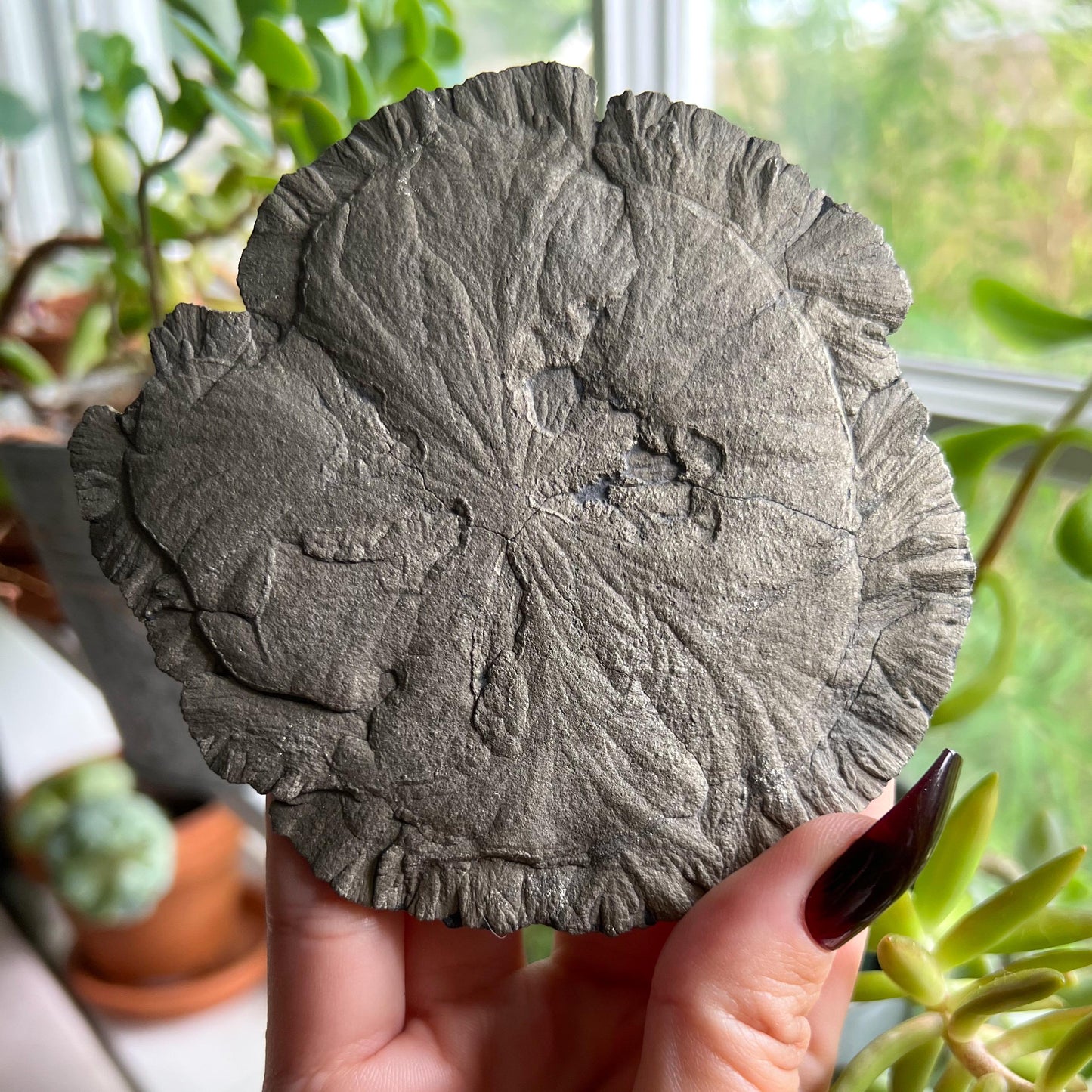 Pyrite Sun