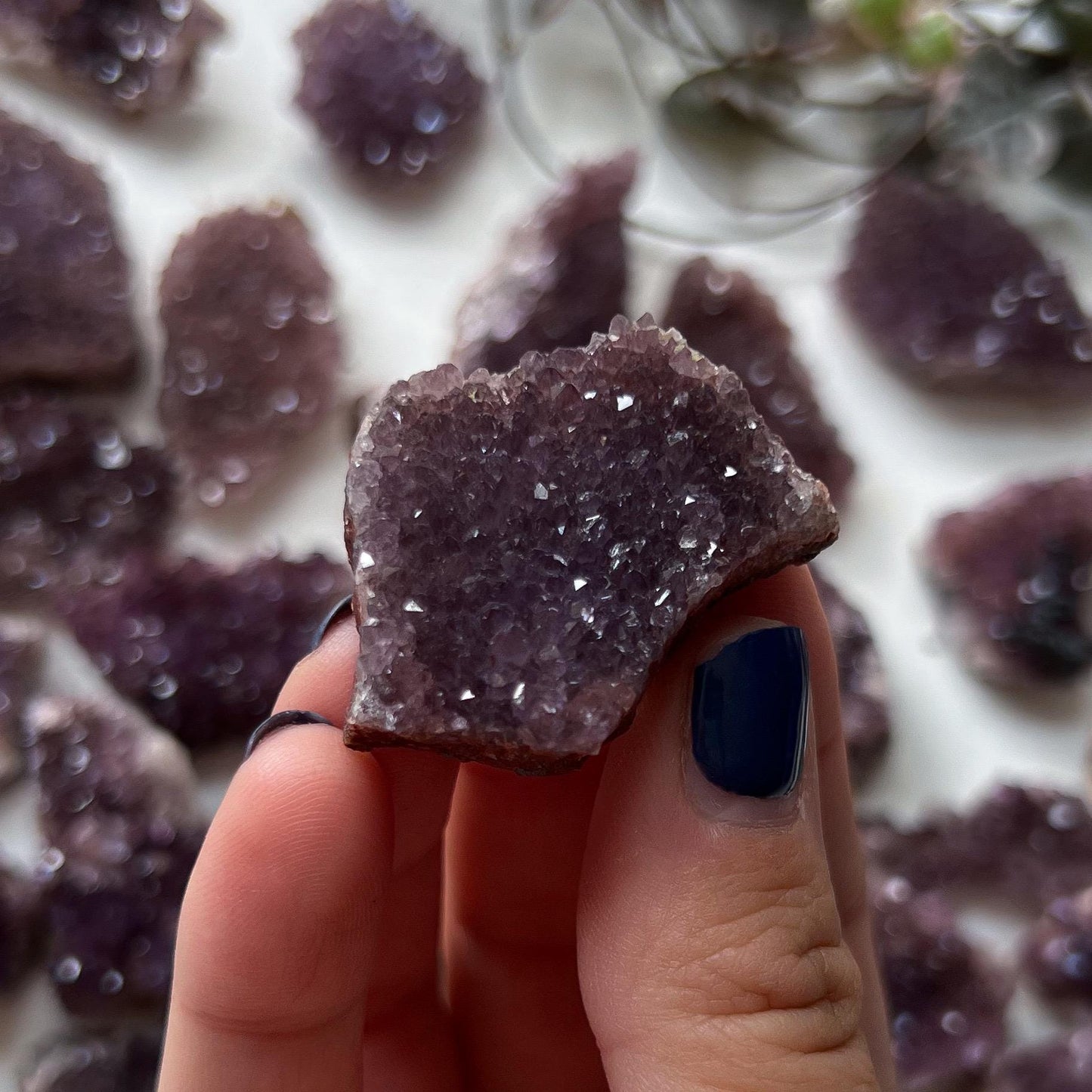 Turkish Amethyst Clusters