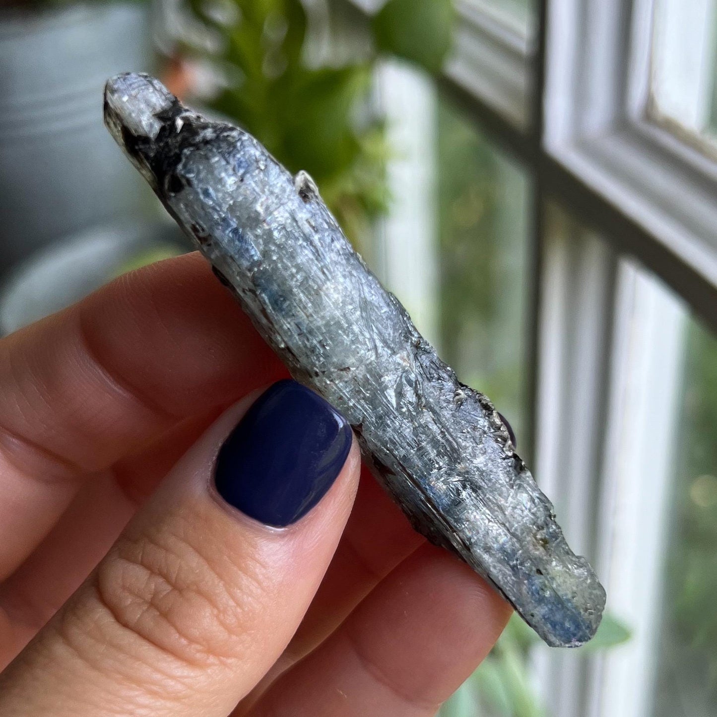 Blue Black Kyanite Blades