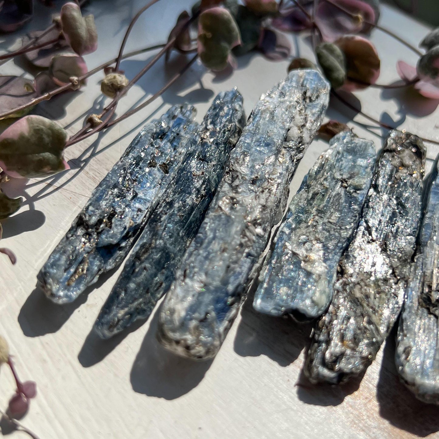 Blue Black Kyanite Blades