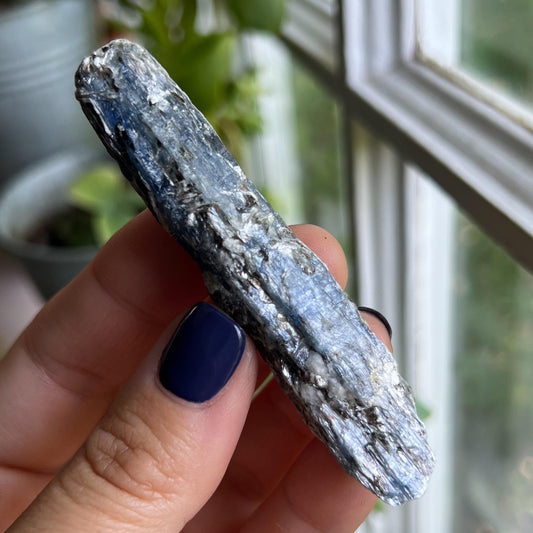 Blue Black Kyanite Blades