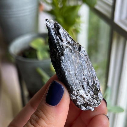 Blue Black Kyanite Blades