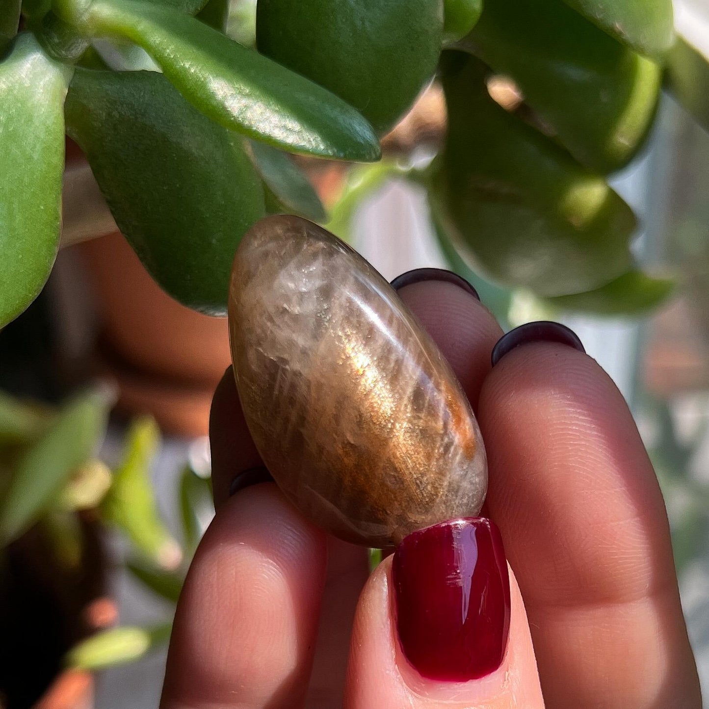 Arusha Sunstone Tumbles Lot