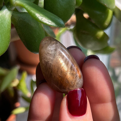 Arusha Sunstone Tumbles Lot