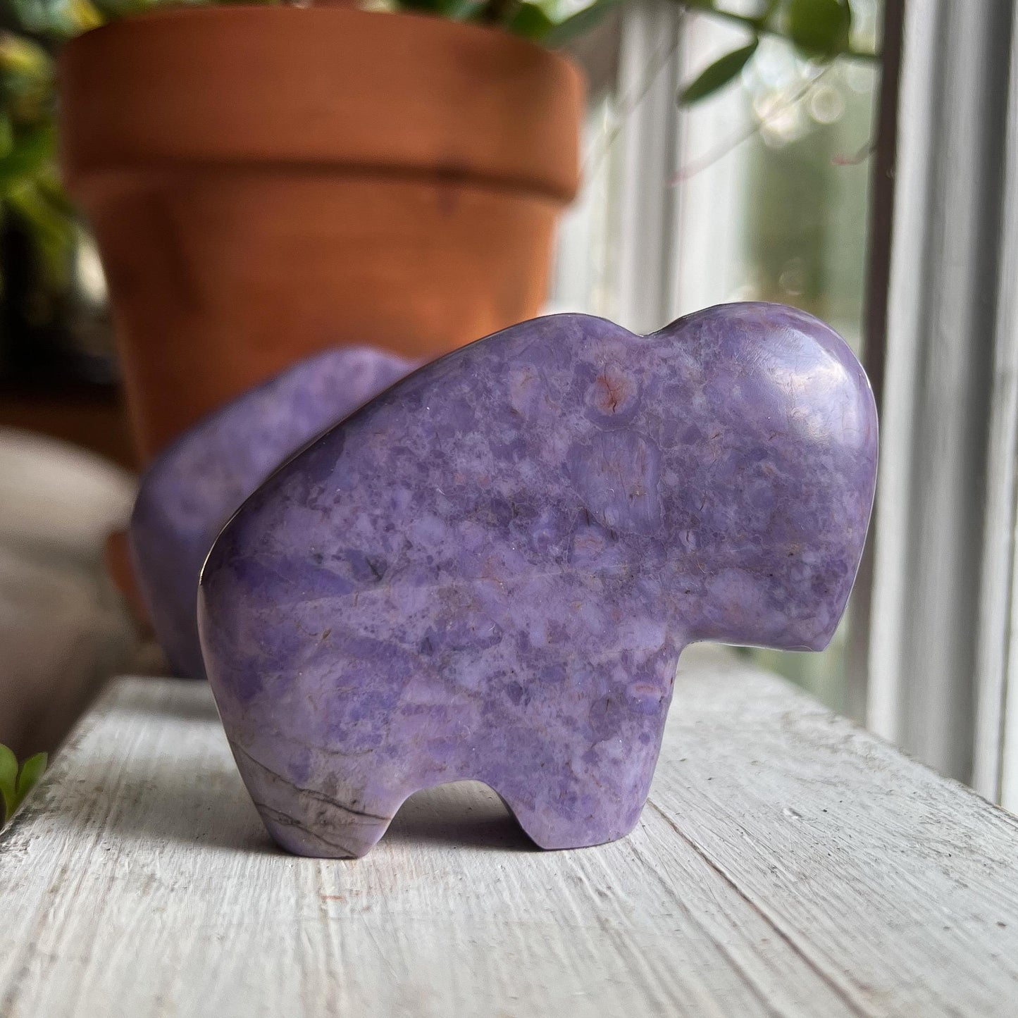 Lavender Jade Buffalo