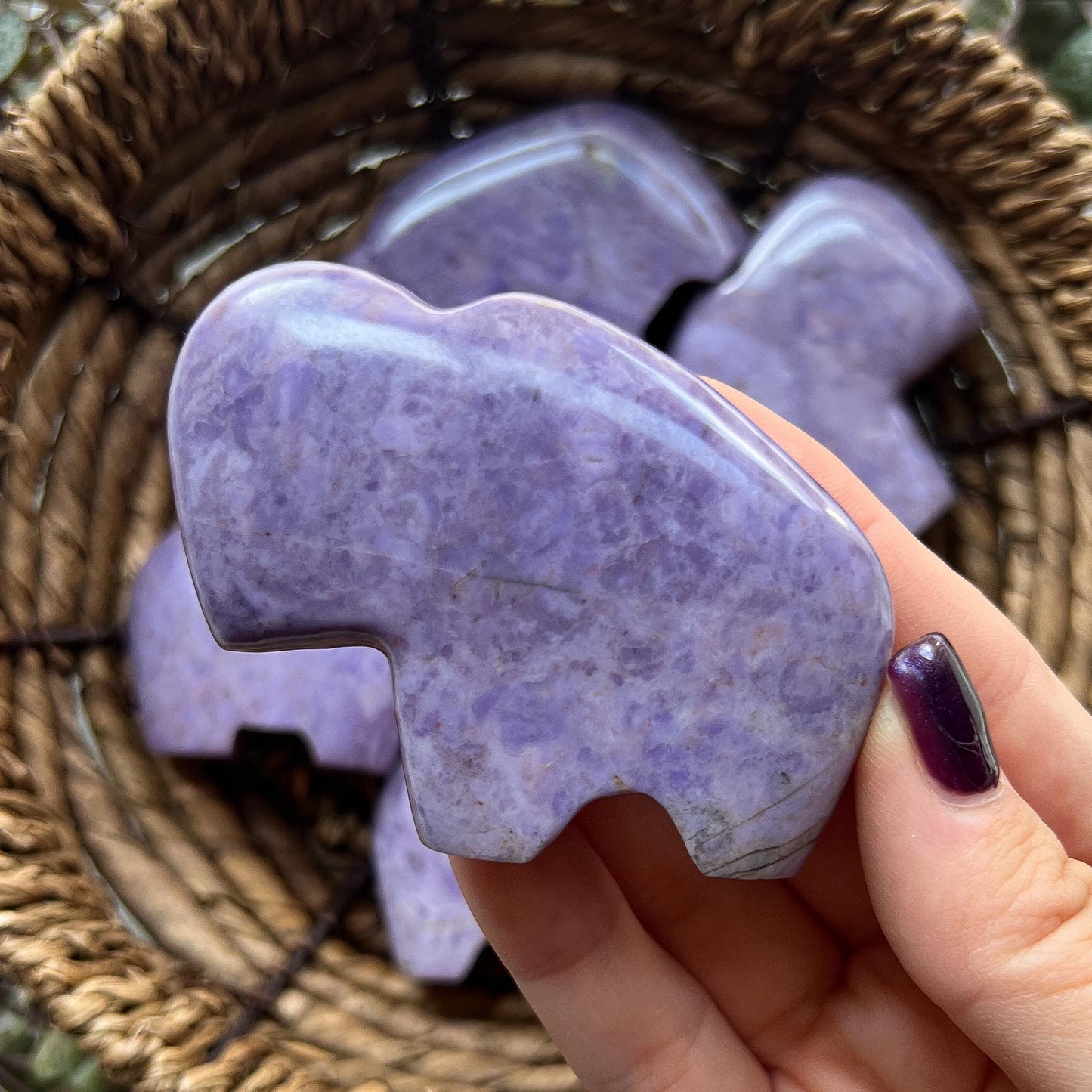 Lavender Jade Buffalo