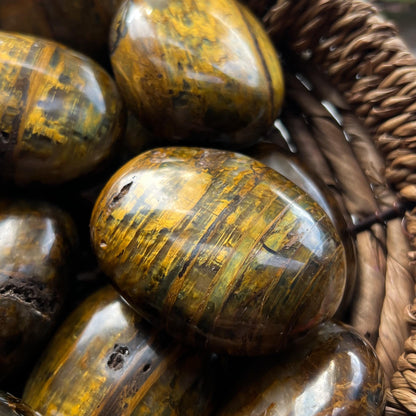 Nellite Palm Stones