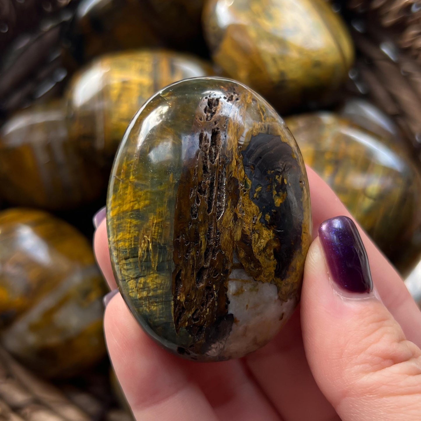 Nellite Palm Stones