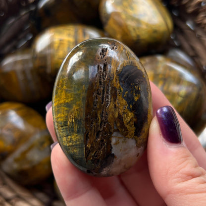 Nellite Palm Stones