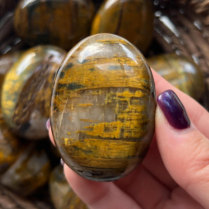 Nellite Palm Stones