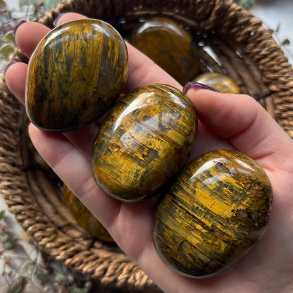 Nellite Palm Stones