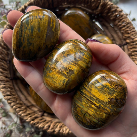 Nellite Palm Stones