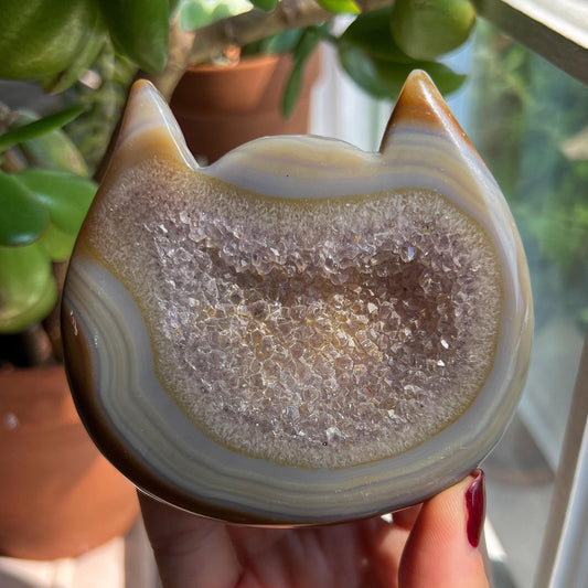 Agate Kitty Head