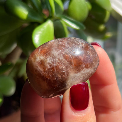 Arusha Sunstone Tumbles Lot