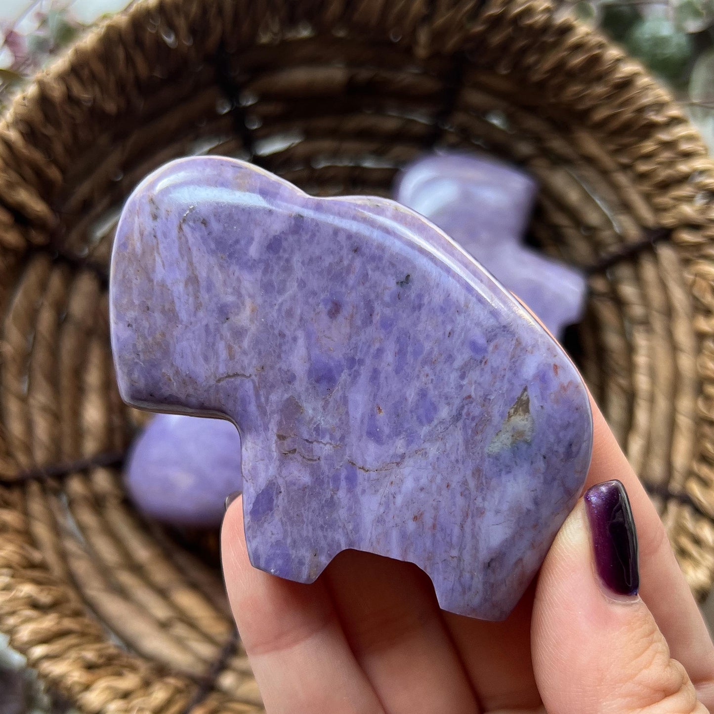 Lavender Jade Buffalo