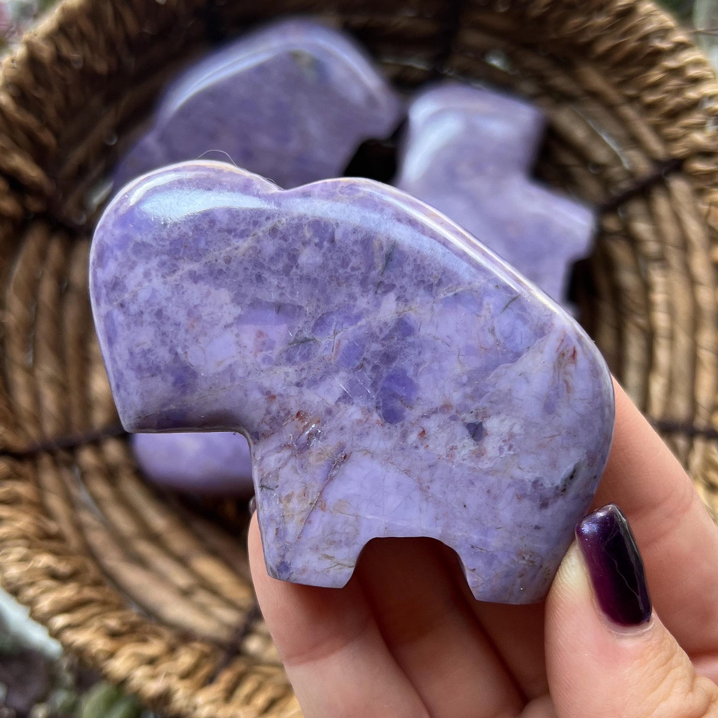 Lavender Jade Buffalo
