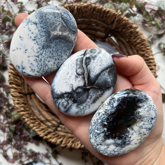 Dendritic Agate Palm Stones