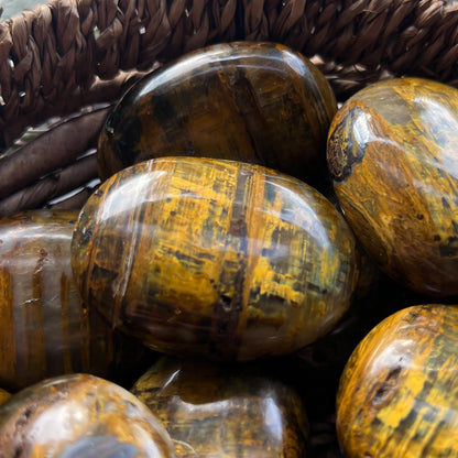 Nellite Palm Stones