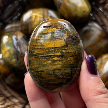 Nellite Palm Stones