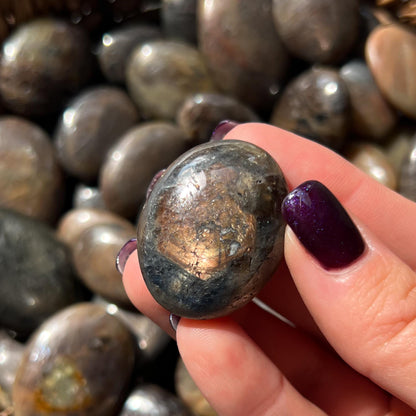Bronze Sapphire Stones
