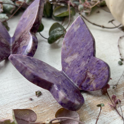 Lavender Jade 3D Butterfly